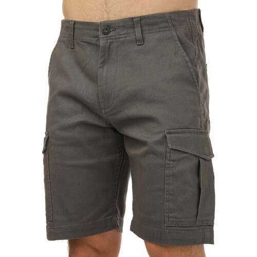 Kleidung Herren Shorts / Bermudas Jack & Jones 12231510 Grau