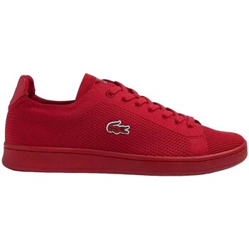 Lacoste  Sneaker Carnaby Piquee 123 1 Sma