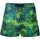 Kleidung Herren Shorts / Bermudas 4giveness FGBM2626 Multicolor