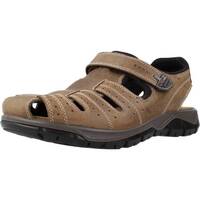 Schuhe Herren Sandalen / Sandaletten IgI&CO 3641222 Braun