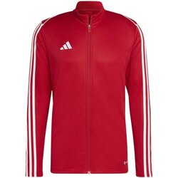 Kleidung Herren Jacken adidas Originals Sport  Polyesterjacke 