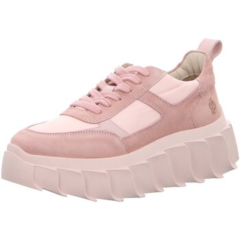 Schuhe Damen Sneaker Apple Of Eden SS23-BLAIR 15 PALE PINK pink