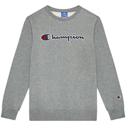 Kleidung Jungen Sweatshirts Champion 305766 Grau