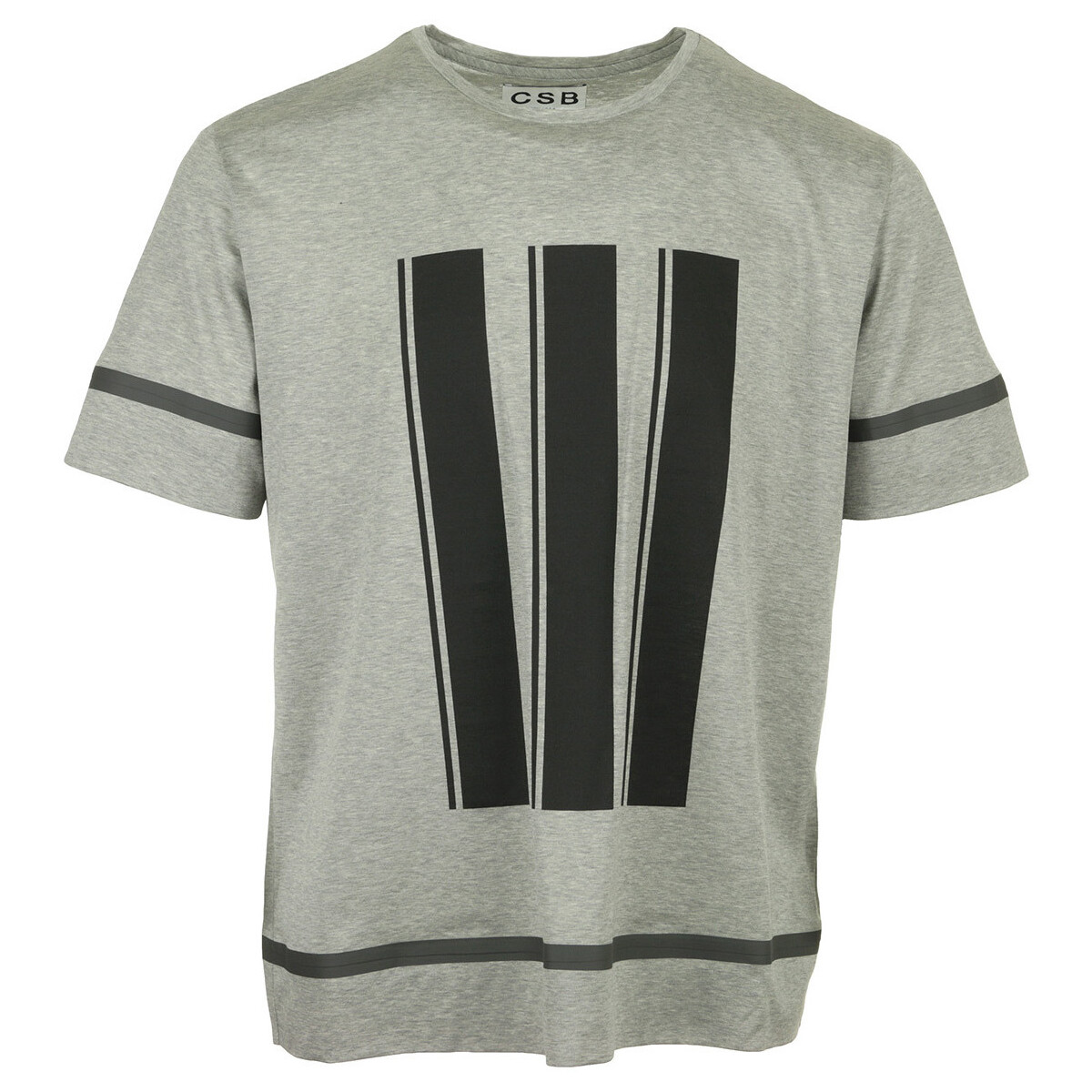 Kleidung Herren T-Shirts Csb London Stripe Printed T-Shirt Grau