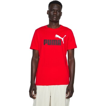 Kleidung Herren T-Shirts Puma  Rot