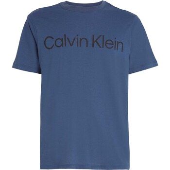 Kleidung Herren T-Shirts & Poloshirts Calvin Klein Jeans Pw - S/S T-Shirt Blau