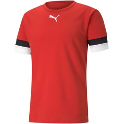 Kleidung Herren T-Shirts & Poloshirts Puma Teamrise Jersey Rot