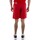 Kleidung Herren Shorts / Bermudas Puma Teamrise Short Rot