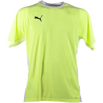 Kleidung Herren T-Shirts & Poloshirts Puma Teamliga Padel Shirt Gelb