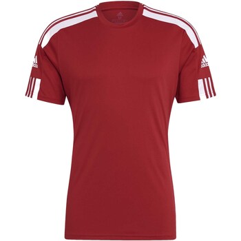 Kleidung Herren T-Shirts & Poloshirts adidas Originals T-Shirt  Squad 21 Jsy Ss Rosso Rot