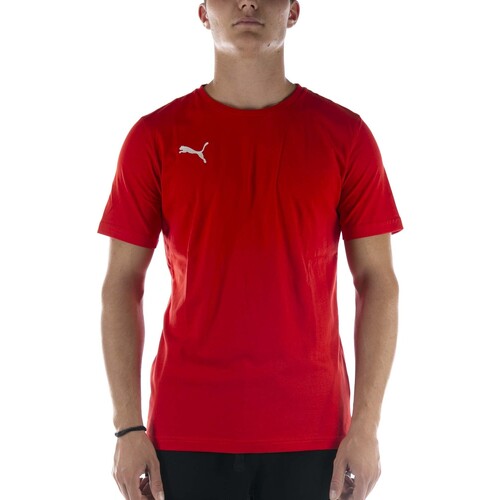 Kleidung Herren T-Shirts & Poloshirts Puma T-Shirt  Teamgoal 23 Casuals Tee Rosso Rot