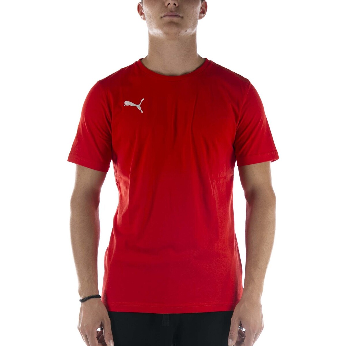 Kleidung Herren T-Shirts & Poloshirts Puma  Rot