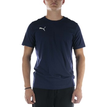 Kleidung Herren T-Shirts & Poloshirts Puma T-Shirt  Teamgoal 23 Casuals Tee Blu Blau