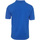 Kleidung Herren T-Shirts & Poloshirts Errea Polo  Team Colour 2012 Ad Mc Royal Blu Blau