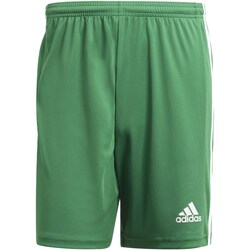 Kleidung Herren Shorts / Bermudas adidas Originals Squad 21 Sho Grün