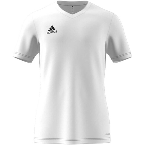 Kleidung Herren T-Shirts & Poloshirts adidas Originals Ent22 Jsy White Weiss