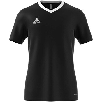 Kleidung Herren T-Shirts & Poloshirts adidas Originals T-Shirt Adidas Ent22 Jsy Nero Schwarz