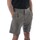 Kleidung Herren Shorts / Bermudas Carhartt Grand Short Grün