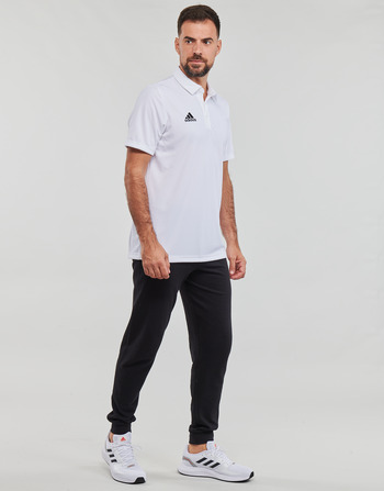 adidas Performance ENT22 POLO Weiss