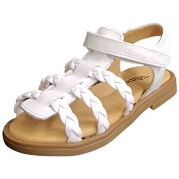 Platis P3140 Multicolor