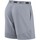 Kleidung Herren Shorts / Bermudas Nike  Grau