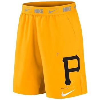 Kleidung Herren Shorts / Bermudas Nike  Gelb
