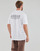 Kleidung Herren T-Shirts Adidas Sportswear Tee WHITE Weiss