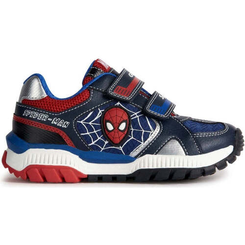 Geox  Blau