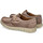 Schuhe Herren Derby-Schuhe & Richelieu Imac 351370 Beige