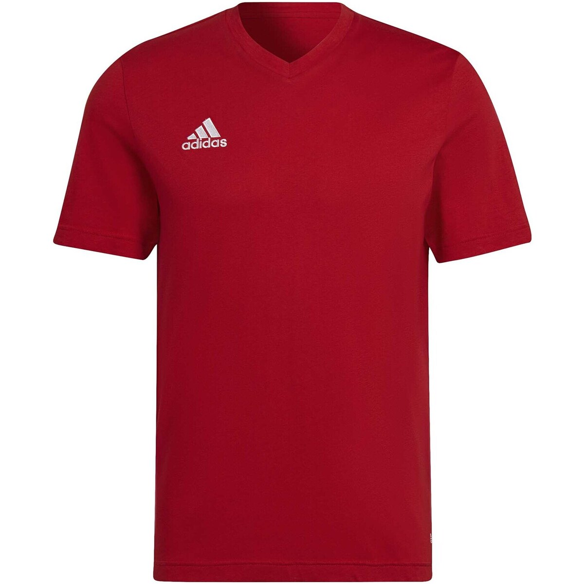 Kleidung Herren T-Shirts & Poloshirts adidas Originals Ent22 Tee Rot
