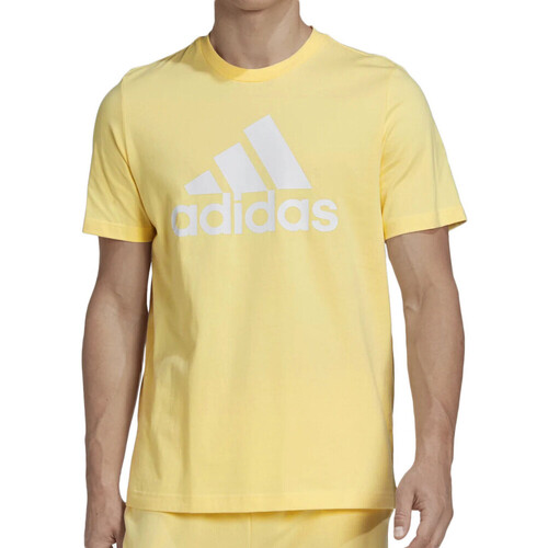 Kleidung Herren T-Shirts & Poloshirts adidas Originals HL2253 Gelb