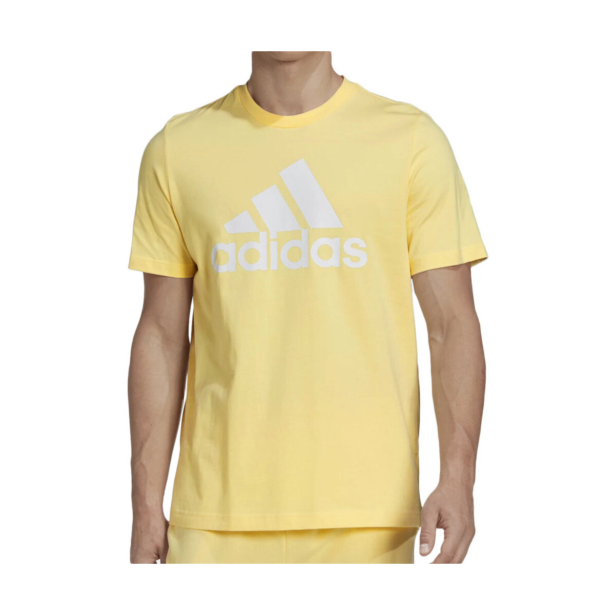 Kleidung Herren T-Shirts & Poloshirts adidas Originals HL2253 Gelb