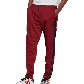 Kleidung Herren Jogginghosen adidas Originals H59995 Rot