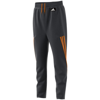Kleidung Jungen Jogginghosen adidas Originals H26633 Grau