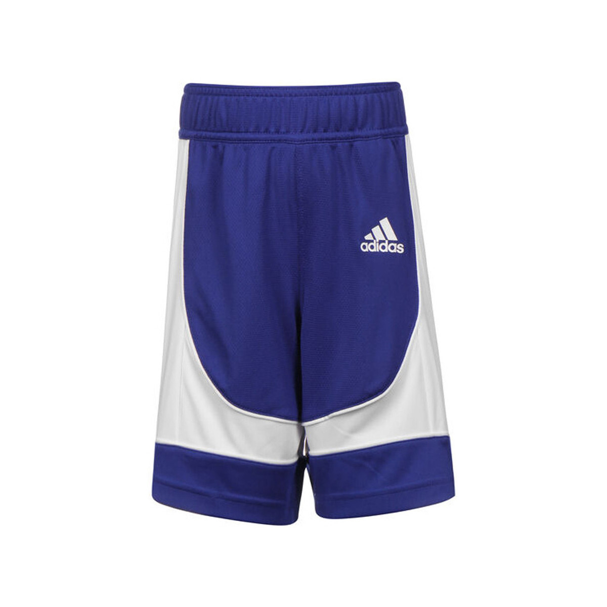 Kleidung Jungen Shorts / Bermudas adidas Originals FR9380 Blau