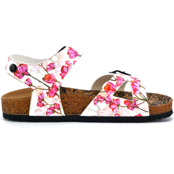 Schuhe Damen Sandalen / Sandaletten Calceo CAL2103 multicolorful