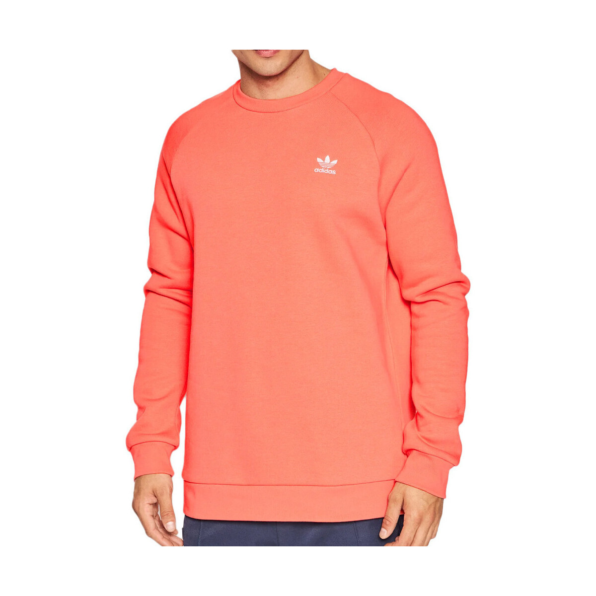 Kleidung Herren Sweatshirts adidas Originals HE9424 Rosa