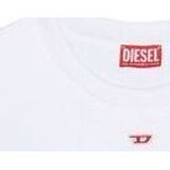Kleidung Herren Sweatshirts Diesel A04075 0GEAD S-GINN-D-100 Weiss