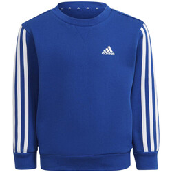 Kleidung Jungen Sweatshirts adidas Originals HF1889 Blau