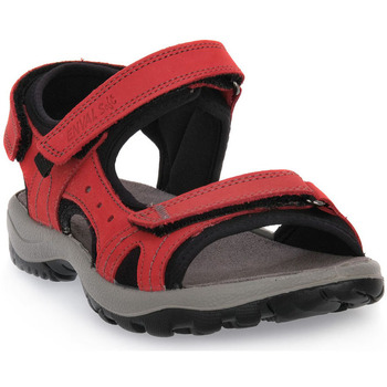 Schuhe Damen Sandalen / Sandaletten Enval LAKE RED Rot