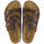 Schuhe Damen Sandalen / Sandaletten Birkenstock Florida Braun