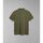 Kleidung Herren T-Shirts & Poloshirts Napapijri ELBAS JERSEY - NP0A4GB4-GAE GREEN LICHEN Grün