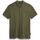 Kleidung Herren T-Shirts & Poloshirts Napapijri ELBAS JERSEY - NP0A4GB4-GAE GREEN LICHEN Grün