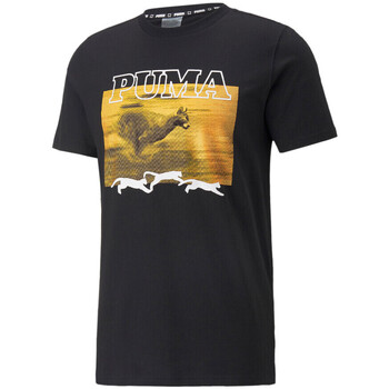 Kleidung Herren T-Shirts & Poloshirts Puma 536486-01 Schwarz