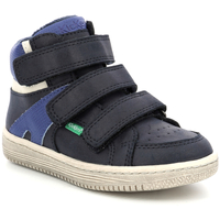 Schuhe Jungen Sneaker High Kickers Lohan Braun