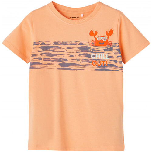 Kleidung Jungen T-Shirts & Poloshirts Name it 13203022 Orange