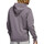 Kleidung Herren Sweatshirts adidas Originals HL9384 Violett