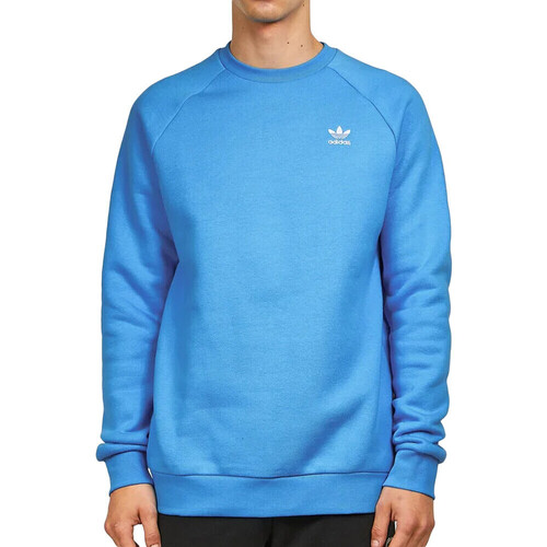 Kleidung Herren Sweatshirts adidas Originals HJ7992 Blau