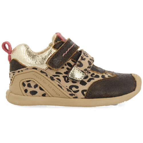 Schuhe Stiefel Gioseppo tolmin Multicolor