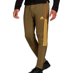Kleidung Herren Jogginghosen adidas Originals H38882 Grün